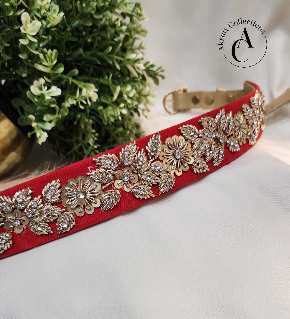 RIANGI Wedding Belt For Indian Attire, Indian Sari Belt, Waist Belt for  Women, Saree Belt For Women Indian at  Women's Clothing store